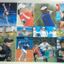 울산양정초등학교 이미지