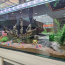 전주용덕초등학교 이미지