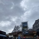 대일바이크 | 더비 스위스퀄리티 호텔 / 피르스트(First) 곤돌라 / 피르스트 액티비티 트로티바이크 / Coop 신라면