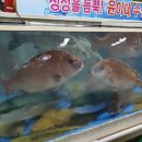 수산물회센터 1층 이미지