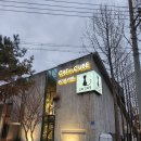 캣인큐브 이미지