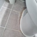 루몽 | 경기광주누수탐지 잘 보는 곳 루몽누수탐지집수리에서 변기누수 잡았어요!