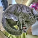 보라네민박 이미지