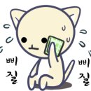 제일성모내과의원 이미지