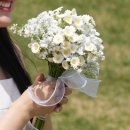 장당공원 | 리베아뜰리에 올림픽공원 웨딩 스냅 내돈내산 솔직 후기 (정말 진짜로 강추!!+짝꿍코드)
