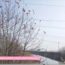 삼례 공용터미널 이미지