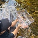 흥정계곡오토캠핑장 | 흥정계곡 해마루오토캠핑장 후기 시원한 계곡캠핑 완벽했던 2박3일