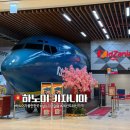 올케어몰 | 하노이 키자니아 26년 가격·시간 변경 총정리 | 올데이케어 실제 이용 후기