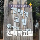 A4 | 가평 애견동반 캠핑장 선택적 고립 A4사이트 후기