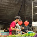 로얄호스텔 | [치앙마이] day7 | 왓치앙만, kurokuro coffee, 팜스프링 로얄, 가성비 무카타집