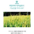 트윈스킨 이미지