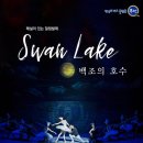 서울시티발레단 백조의 호수 이미지