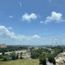 그래니트리버랩스아시아퍼시픽 | [싱가포르] 팬 퍼시픽 서비스드 스위트 비치로드(Pan Pacific Serviced Suites Beach Road) 2박 후기