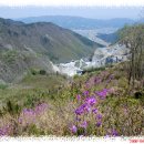 남양농장 이미지