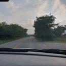 장흥 5리 이미지