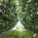 최고집농장 이미지