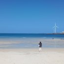 달이머무는바다 이미지