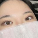 내 눈에 꼭 맞춘 자연스러운 디자인과 프라이빗한 1:1 맞춤 관리 고잔동 속눈썹 더예쁘지 안산 솔직 후기