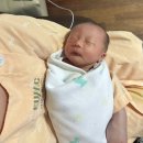 이마트24 이대목동병원점 | 이대목동병원 초산모 단태아 유도 분만 3박 4일 입원 후기 [입원 3-4일차/38W6d/박선화교수님]