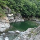 철구소펜션 Daum카페