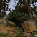 신평리 도요지 이미지