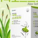 부광인터내셔널 이미지
