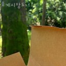 호계시장도너츠