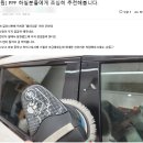 랩피디움 이미지