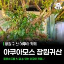 모스베이커리 | 창원 귀산카페 추천 아쿠아모스 수족관 카페 솔직후기