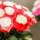 형제광택 이미지