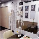 여기조아 이미지