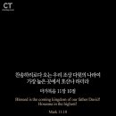 호산나