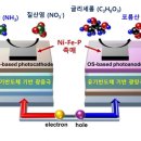 산화 태양광 이미지
