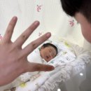 (주)이꼬르 | 임신기록-5, 37주6일차 제왕절개 수술기록,입원생활