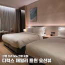 호텔 이룸 | [강릉 호텔] 신라모노그램 디럭스 패밀리 오션뷰 &amp; 룸서비스 후기