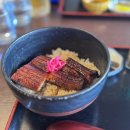 인이네식당 | 오사카 교토 버스투어 아마노하시다테, 이네노후나야 일일 투어