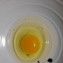 에스겔-푸름농장 이미지