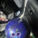 퍼플라이노 이미지