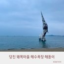 해돋이마을 | 당진 왜목마을 해수욕장 해돋이 명소 후기