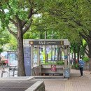 안산천 | [서울 서대문 트레킹] 메타세콰이어숲이 아름다운 안산자락길 힐링 트레킹코스