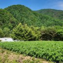 쪽빛하늘 캠핑장 이미지