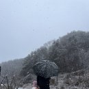 퓨네이처 | 장박철수) 2023.12월~2024.3월 4개월 / 에어텐트(네이처하이크13.2) 장박 후기