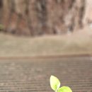 호반나들이길 | 안동 호반나들이길 산책 후기 | 영어공부와 외국인과의 인연이 준 깨달음