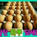 알찬하루 이미지