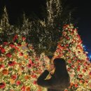 모에누베이커리 | 구미트리카페 ★모에누베이커리★눈 내리는 크리스마스 카페