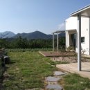 햄릿과 올리브 이미지