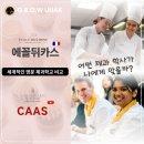 제과 유학 학사 프로그램 비교ㅣ스위스 CAAS, 프랑스 Ecole Ducasse