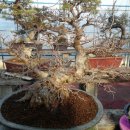 종운농장 이미지