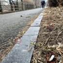 더 리버하임아파트 이미지