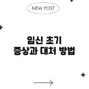 법무법인정행인